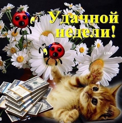 Как сделать подарок маме своими руками. Идеи поделок на день Как вырастить новые зубы Мой опыт выращивания