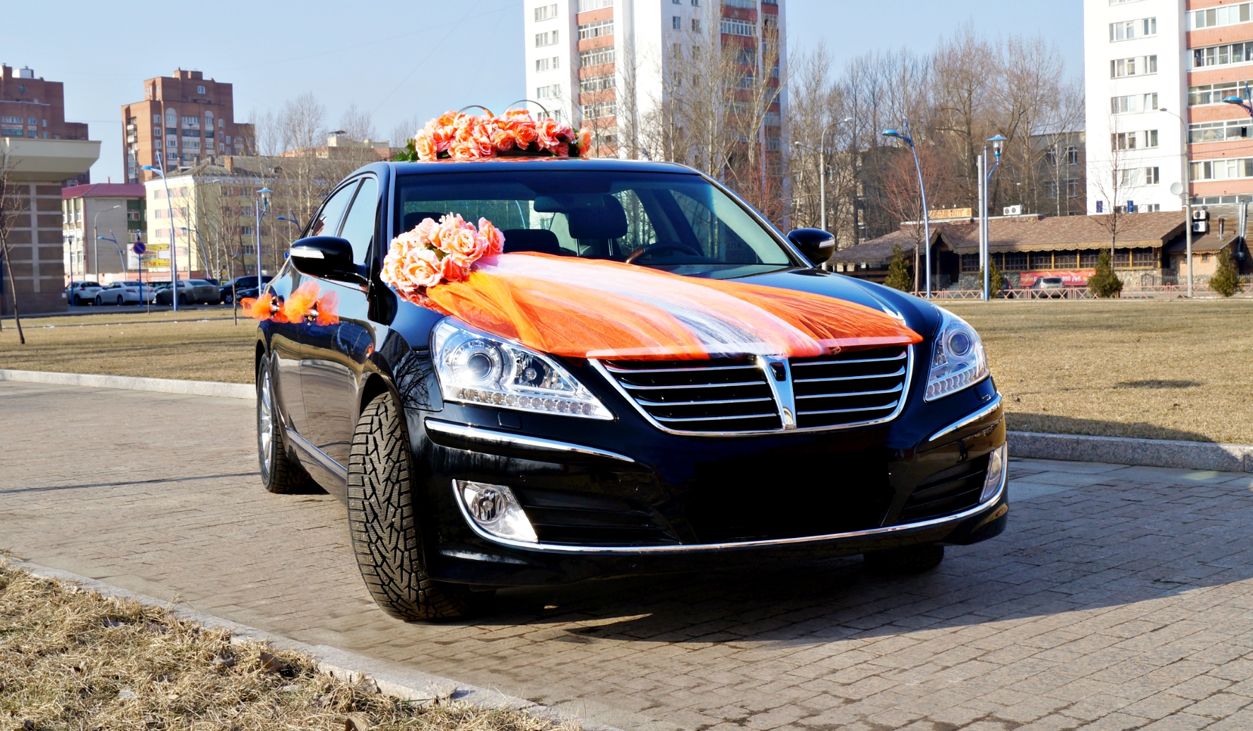 Авто премиум-люкс класса EQUUS: фото 2038684 - WeddingCamry - аренда авто  на свадьбу