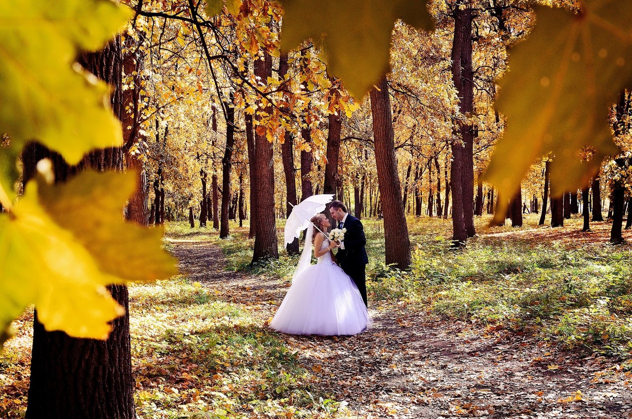 Свадьба осенью без лиц