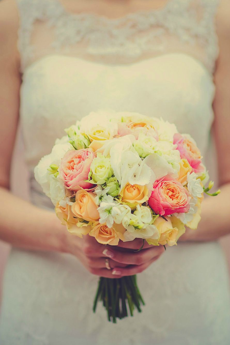 Фото 1477007 в коллекции Мои фотографии - Kookoosh