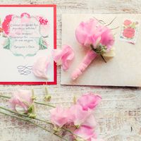 Цветы латируса, поздравительная открытка и бутоньерка из розовых цветов латируса и зелени котинуса, декорированная розовой атласной лентой