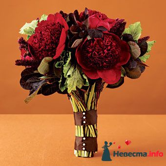 Фото 227430 в коллекции Мои фотографии - Darly