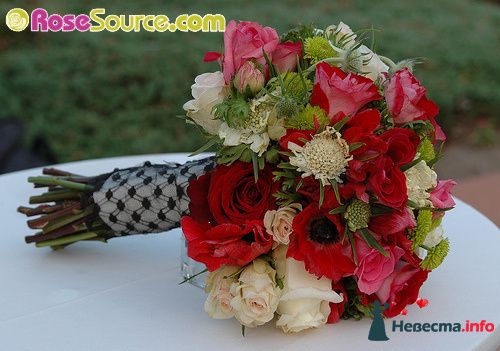 Фото 227431 в коллекции Мои фотографии - Darly