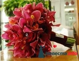 Фото 228386 в коллекции Мои фотографии - Darly