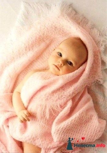 Фото 238290 в коллекции Мои фотографии - Darly