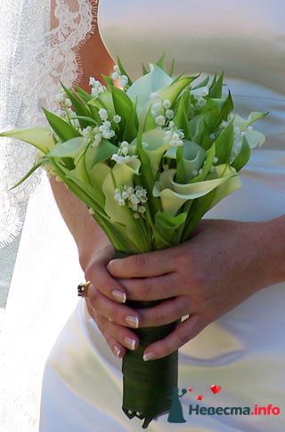 Фото 239761 в коллекции Мои фотографии - Darly