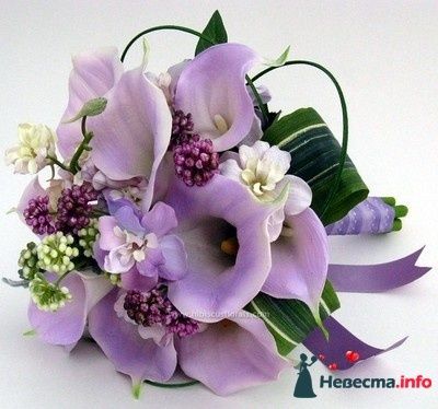 Фото 240568 в коллекции Мои фотографии - Darly