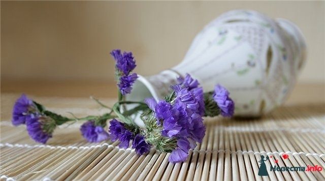 Фото 243351 в коллекции Мои фотографии - Darly