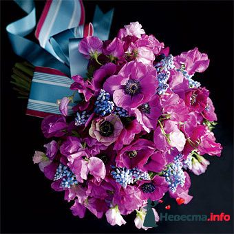 Фото 243496 в коллекции Мои фотографии - Darly