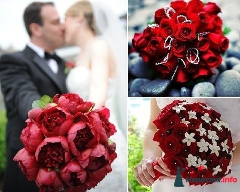 Фото 243556 в коллекции Мои фотографии - Darly