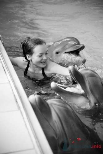 фотоистория с дельфинами, Елена и Андрей - фото 13291 Свадебные фотоистории от Андрея Егорова