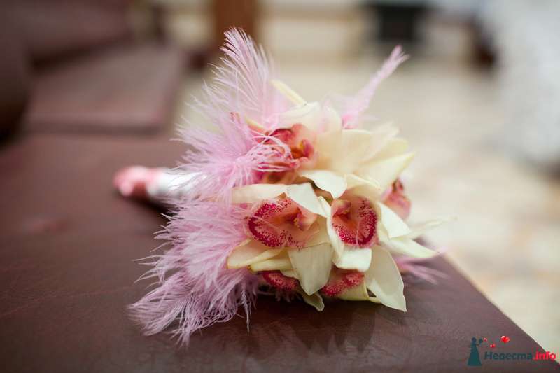 Букет невесты из белых орхидей, декорированный нежно-розовыми перьями  - фото 216650 elnegma