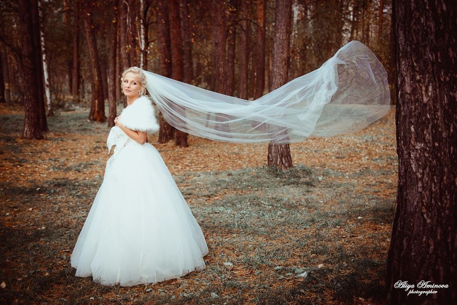 Фото 7685228 в коллекции Свадебная фотография - Алия Аминова, свадебный и семейный фотограф