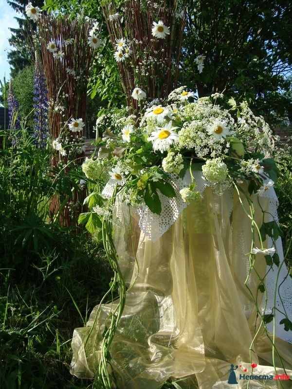 ромашковая свадьба - фото 107373 Флорист-декоратор Янина Венгерова