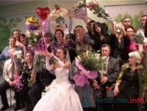 Свадебные цветы - фото 242 Ведущий Сергей Можаровский 