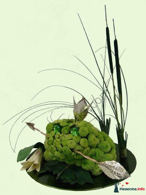 Лягушка-царевна - фото 112290 "Цветочный бутик" - студия флористов