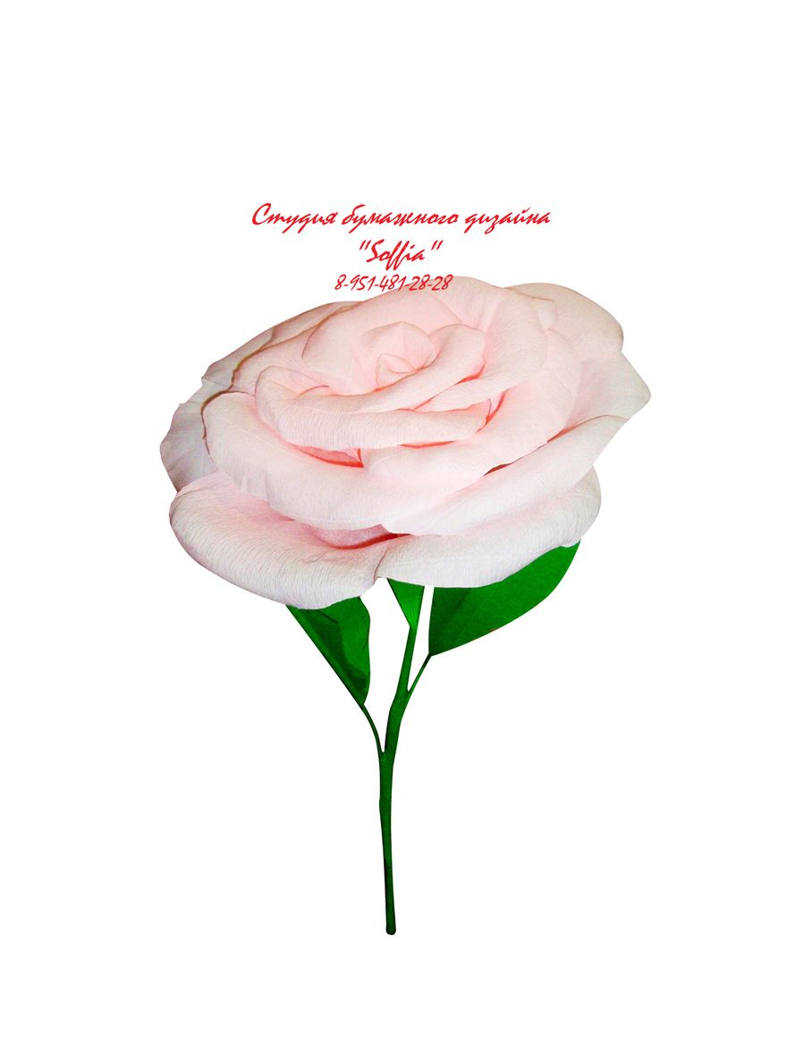 Гигантская роза для фотосессии - фото 2563029 Студия бумажного дизайна "Soffia"
