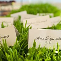 Весенние и летние карточки для рассадки гостей