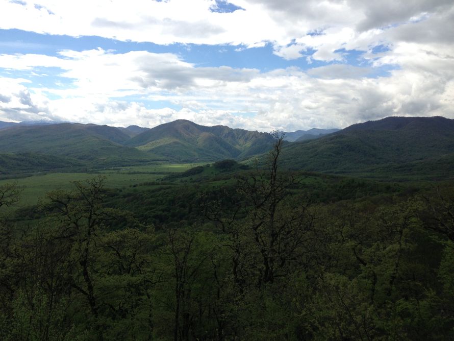 Фото 2338842 в коллекции Мои фотографии - наперегонки