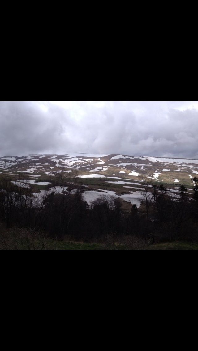 Фото 2338846 в коллекции Мои фотографии - наперегонки