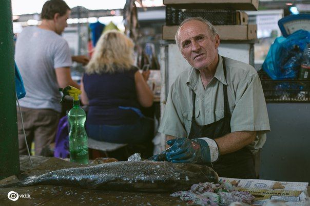 Фото 2687933 в коллекции Мои фотографии - наперегонки