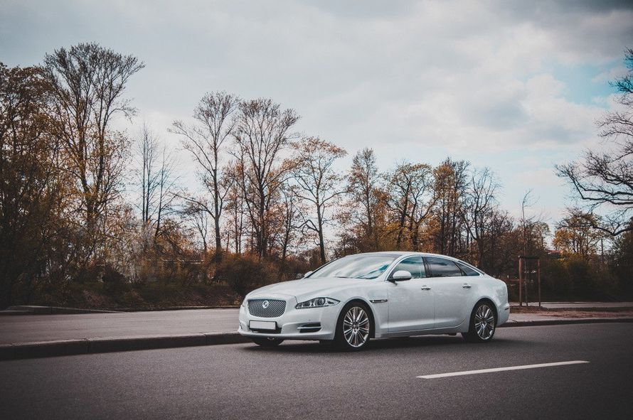 Jaguar XJ свадебный