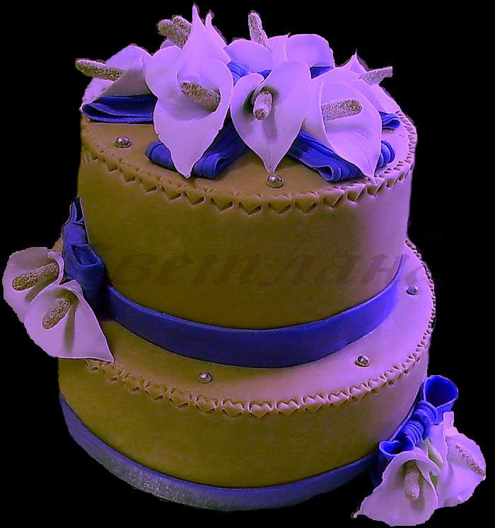 Фото 1893349 в коллекции Свадебный торт - Авторские торты "ТортКаприз"