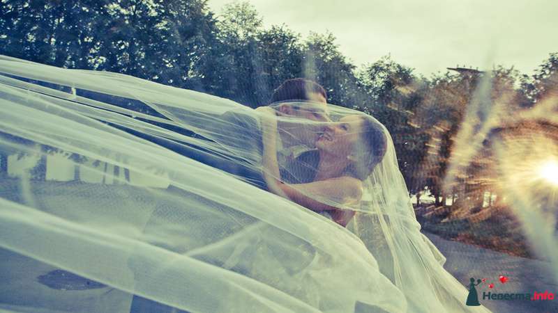Фото 148487 в коллекции Разные свадебные фотографии - Профессиональный фотограф Евгений Продажный