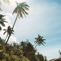 Сейшельские острова, о. Силуэт. Фотосессия на пляже острова Силуэт, Сейшельские острова