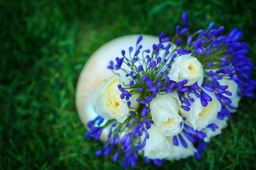 Букет невесты из белых роз и синих подснежников  - фото 3183357 Студия свадебной режиссуры "Make a wish"