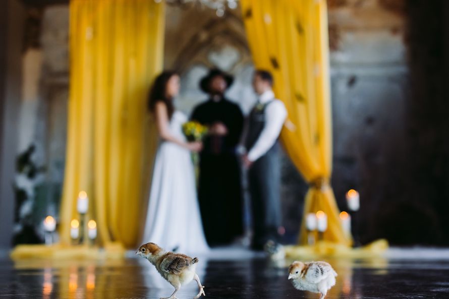 желтая черная свадьба выездная регистрация - фото 6106677 Студия флористики и декора "Глориоза"