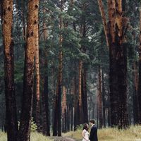 свадебная прогулка в сосновом бору