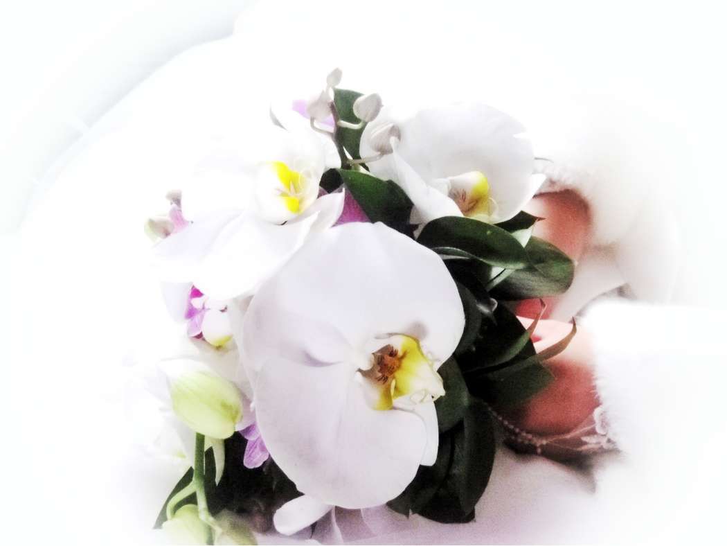 Нежный  и трогательный, величественно красивый букет из орхидей украсит свадьбу любой невесты и подчеркнет ее достоинства, но не отвлечет внимание на себя,главное грамотно подобрать цветовую гамму,. Орхидея гармонично  и ярко смотрится в любое время года  - фото 1659431 Флорист Верещагина Ирина