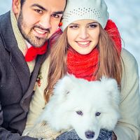 собака на свадьбе