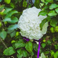 Круглый букет невесты из белых гортензий, украшенный фиолетовой атласной лентой на фоне зеленых листьев 
