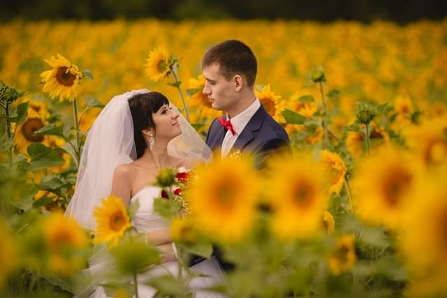 Жених и невеста, прислонившись друг к другу, стоят на фоне поля с жёлтыми подсолнухами  - фото 3422935 КатяСвадьба