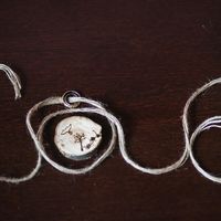 Рустик. 28.06.2014. Фотограф Алина Московцева