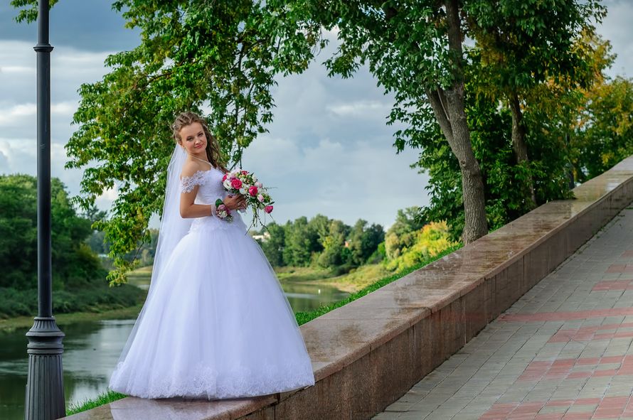 Фото 3308947 в коллекции Свадьба - Анатолий Клепешнёв - фотограф