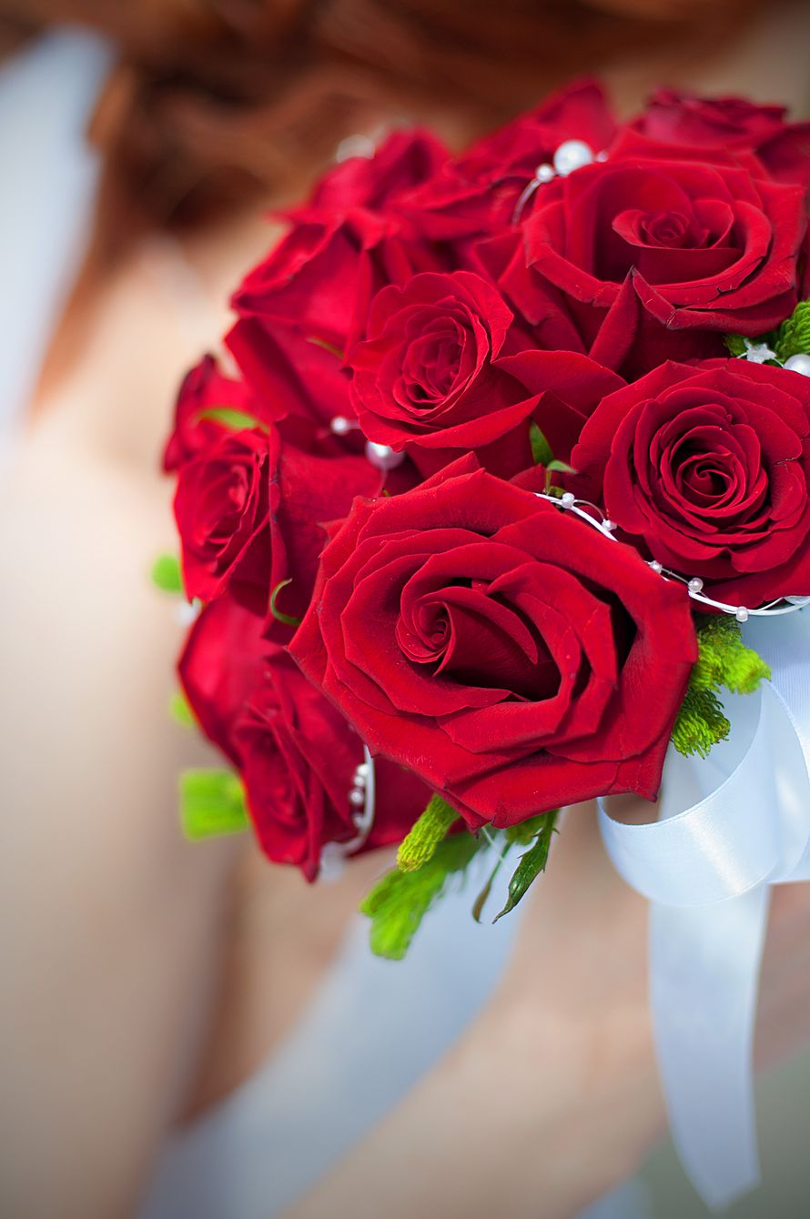 Букет невесты из красных роз, декорированный белой лентой  - фото 1942781 Александр Киреев - фотограф
