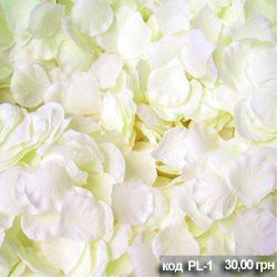 Фото 2175274 в коллекции Искуственные лепестки роз - "Priglasi" - интернет-магазин свадебной полиграфии