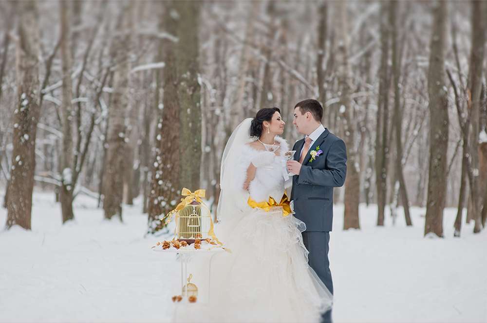 Жених и невеста стоят в заснеженном лесу возле маленького стлика - фото 1334365 Family Tree - Павел и Мария Тереховы - фотографы