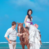 Свадьба в Доминикане. Фотосессия с лошадьми.