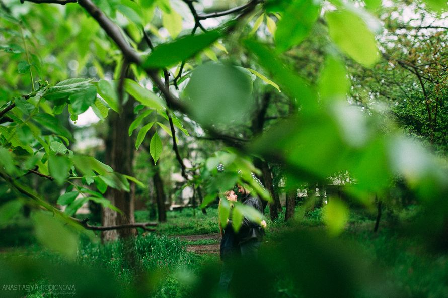 Фото 5290405 в коллекции Портфолио - Фотограф Анастасия Родионова