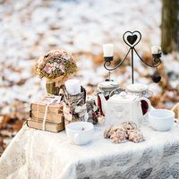 Оформление зимней свадьбы