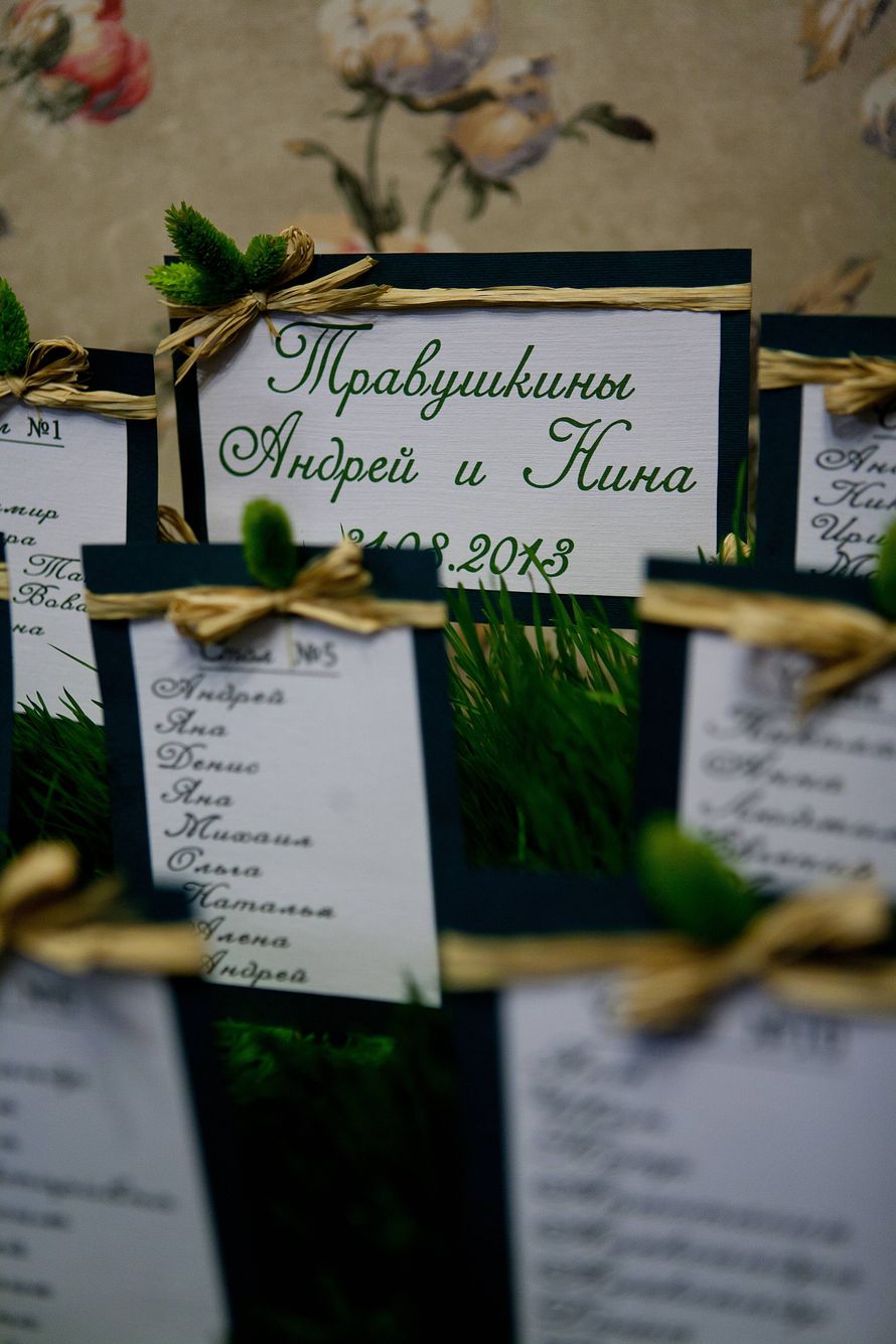 Фото 2566173 в коллекции Бело-зеленая свадьба с травой - Свадебный организатор, оформитель Жилина Оксана
