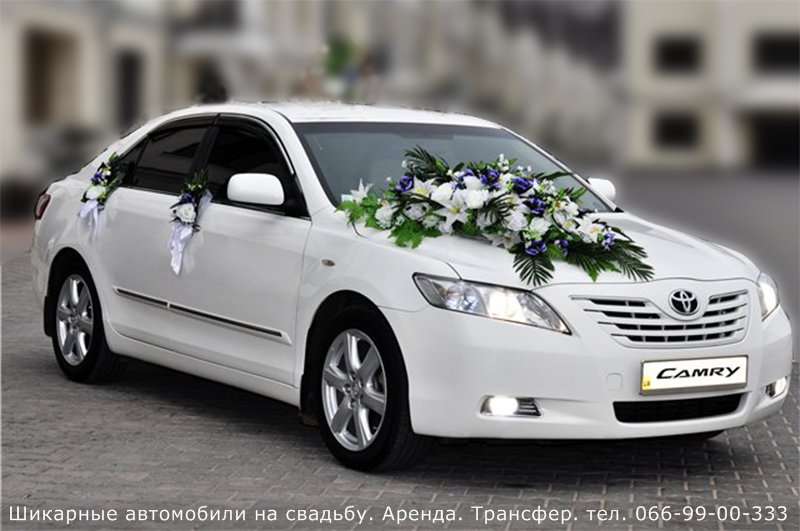 Фото 2844879 в коллекции Мои фотографии - Спутник - авто на свадьбу