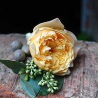Бутоньерка из пионовидной розы с зеленью и ягодами брунии