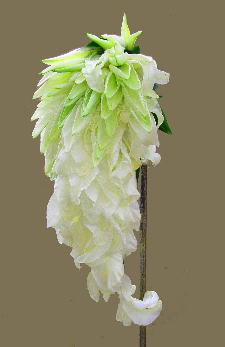Букет невесты из белых лепестков калл в каскадном стиле  - фото 3002727 Da Li - студия дизайна и флористики