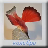 Красная колибри