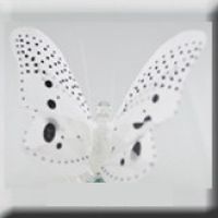 Белая светящаяся бабочка